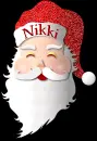 Santa Nikki