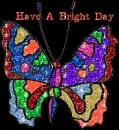 butterfly
