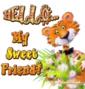 tiger_hello sweet friend