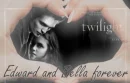 Twilight