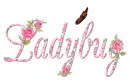 ladybug