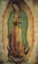 guadalupana