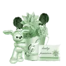 sindrela