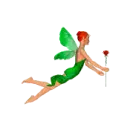 fairy green