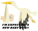 I'm expecting....a boy!