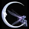 fairy