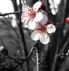 In The Spring