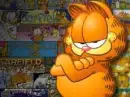  Cute Garfield