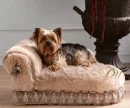 Royal Dog.