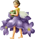 violet fairy