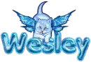Angel cat Wesley