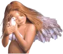 baby angel with dove