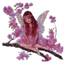 cherry blossom fairy