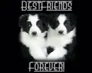 best friends