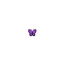 Purple Butterflies