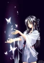 butterflies