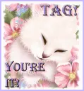 Tag You're It! Cat 