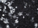 Snow Flakes