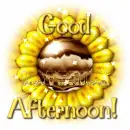 GOOD AFTERNOON