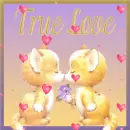 TRUE LOVE