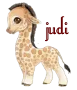 Judi