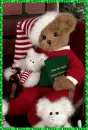 CHRISTMAS BEAR
