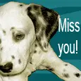 miss you