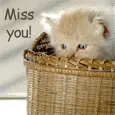 cuuute