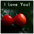 love ya