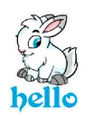 hello