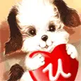 cute doggie