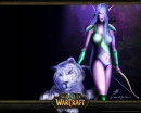 Night Elf Hunter w/tiger (WoW)