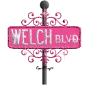 hot pink street sign welch BLVD