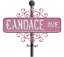 pink street sign candace AVE