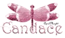 pink dragonfly candace