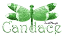 green dragonfly candace