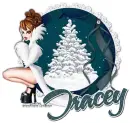 TRACEY Let It Snow RV