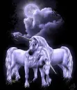 Unicorns