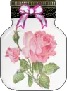 pink rose in jar