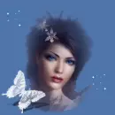 silver butterfly