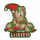 Xmas bear with Lynyrd name