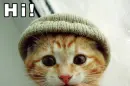 HI
