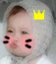 baby cat