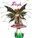 STEPH