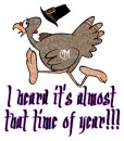 Turkey running