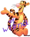 wilma