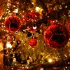 CHRISTMAS LIGHT
