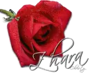 Zhara
