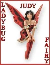 judy's ladybug fair