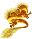 tracy red dragon